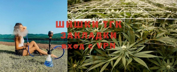 шишки Киренск