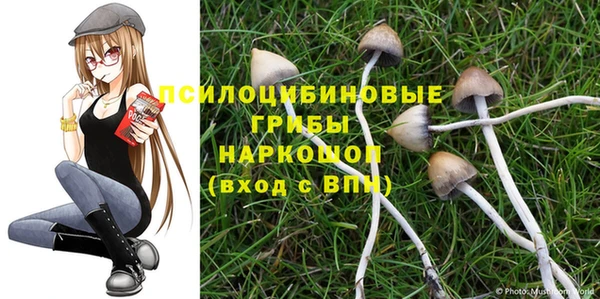 метадон Абинск