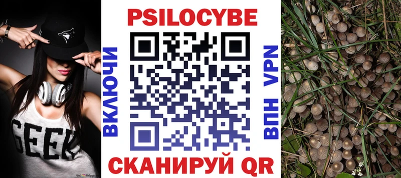 Псилоцибиновые грибы MAGIC MUSHROOMS  даркнет формула  Щёкино 